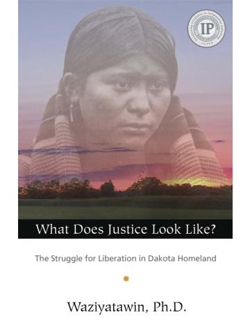 Cover of What Does Justice Look Like?